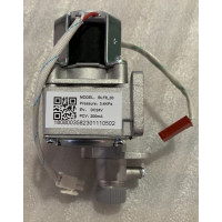 Газовий блок JSG-20-10ETP18 301110502