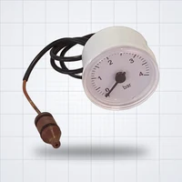 Манометр Viessmann WH0A