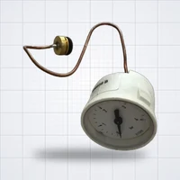 Манометр Viessmann WH1D